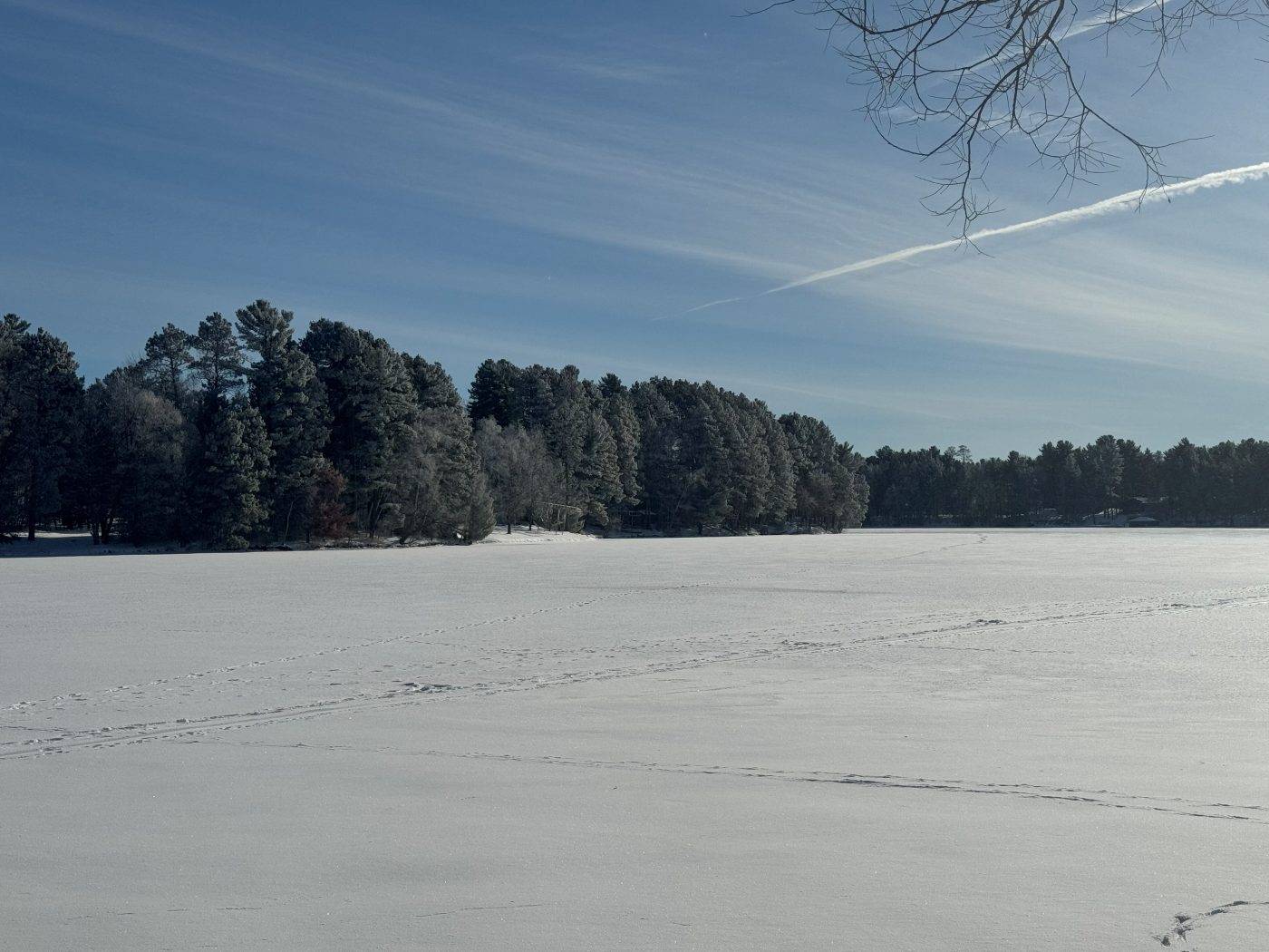 Frozen lake and pines in the Wisconsin Northwoods